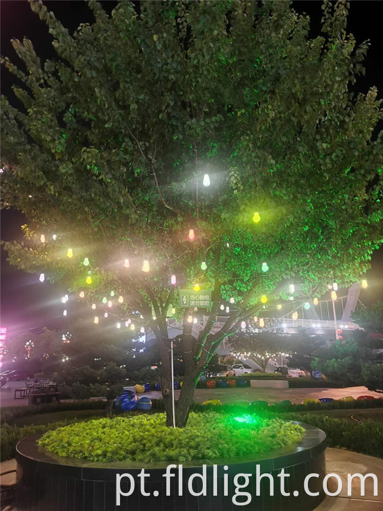 IP66 led festival light apply to outdoor decoration